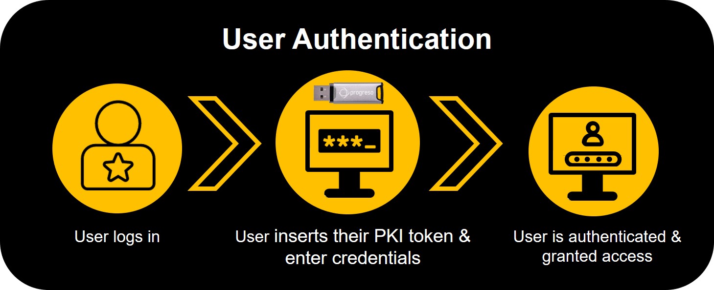 Unlocking Secure Access Understanding PKI Authentication token and its functionality Progreso